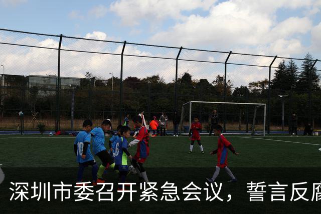 深圳市委召开紧急会议，誓言反腐不留情